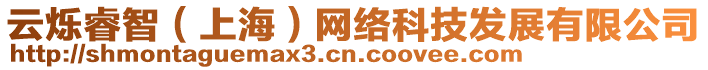 云爍睿智（上海）網(wǎng)絡(luò)科技發(fā)展有限公司