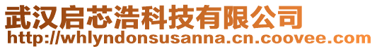 武漢啟芯浩科技有限公司