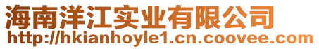 海南洋江實業有限公司