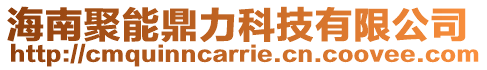海南聚能鼎力科技有限公司