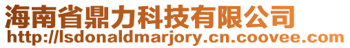 海南省鼎力科技有限公司
