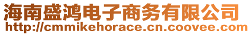 海南盛鴻電子商務有限公司