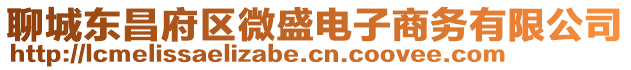 聊城東昌府區(qū)微盛電子商務(wù)有限公司