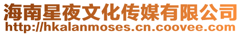 海南星夜文化傳媒有限公司