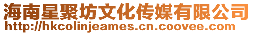 海南星聚坊文化傳媒有限公司