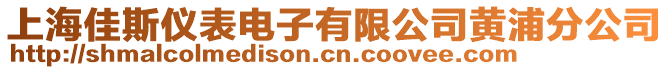 上海佳斯儀表電子有限公司黃浦分公司