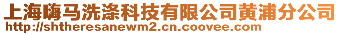 上海嗨馬洗滌科技有限公司黃浦分公司