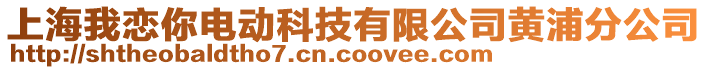 上海我戀你電動科技有限公司黃浦分公司