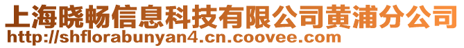 上海曉暢信息科技有限公司黃浦分公司