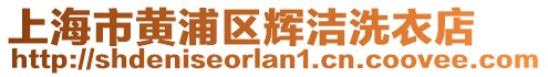 上海市黃浦區(qū)輝潔洗衣店