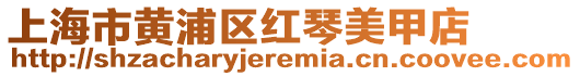 上海市黃浦區(qū)紅琴美甲店