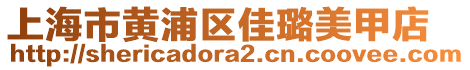 上海市黃浦區(qū)佳璐美甲店