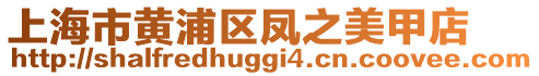 上海市黃浦區(qū)鳳之美甲店