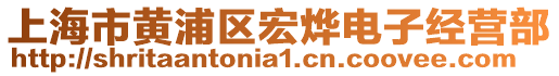 上海市黃浦區(qū)宏燁電子經(jīng)營(yíng)部