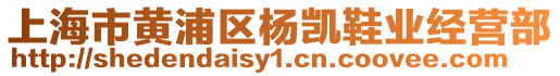 上海市黃浦區(qū)楊凱鞋業(yè)經(jīng)營部