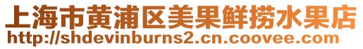上海市黃浦區(qū)美果鮮撈水果店