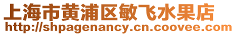 上海市黃浦區(qū)敏飛水果店