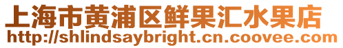 上海市黃浦區(qū)鮮果匯水果店
