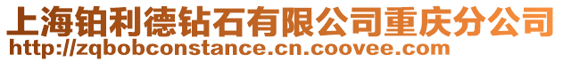 上海鉑利德鉆石有限公司重慶分公司