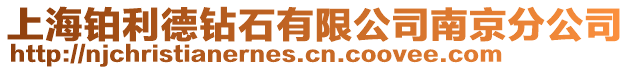上海鉑利德鉆石有限公司南京分公司