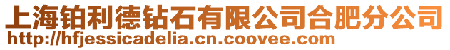 上海鉑利德鉆石有限公司合肥分公司