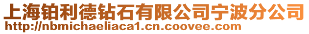上海鉑利德鉆石有限公司寧波分公司
