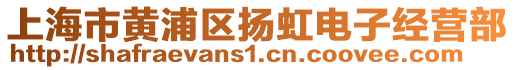 上海市黃浦區(qū)揚虹電子經(jīng)營部