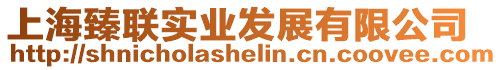 上海臻聯實業發展有限公司