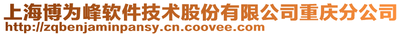 上海博為峰軟件技術(shù)股份有限公司重慶分公司