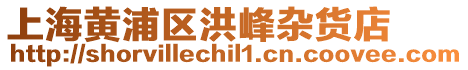 上海黃浦區(qū)洪峰雜貨店