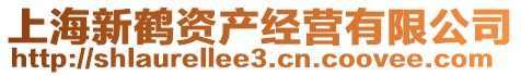 上海新鶴資產經營有限公司