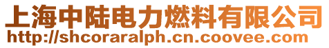 上海中陸電力燃料有限公司