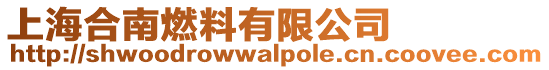 上海合南燃料有限公司