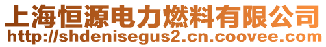 上海恒源電力燃料有限公司