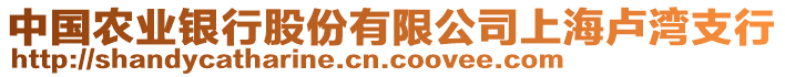 中國農(nóng)業(yè)銀行股份有限公司上海盧灣支行