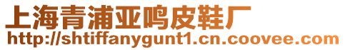 上海青浦亞鳴皮鞋廠