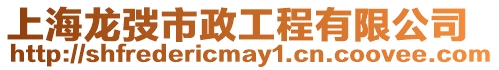 上海龍弢市政工程有限公司