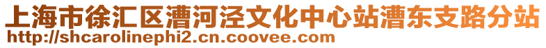 上海市徐匯區漕河涇文化中心站漕東支路分站