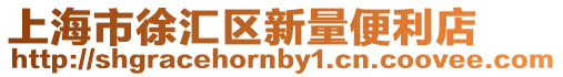 上海市徐匯區(qū)新量便利店