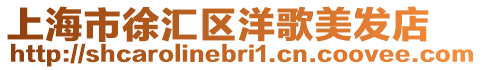 上海市徐匯區(qū)洋歌美發(fā)店