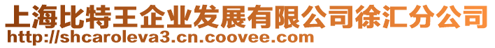 上海比特王企業發展有限公司徐匯分公司