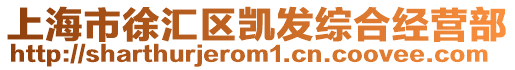 上海市徐匯區凱發綜合經營部