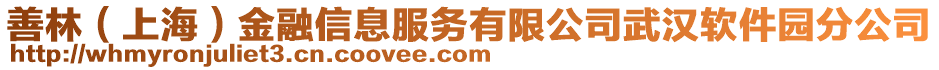善林(上海)金融信息服務有限公司武漢軟件園分公司