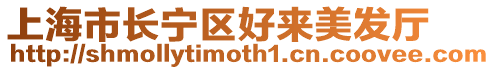 上海市長(zhǎng)寧區(qū)好來美發(fā)廳