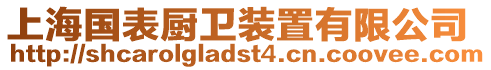 上海國表廚衛(wèi)裝置有限公司