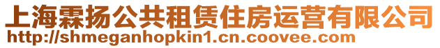 上海霖揚公共租賃住房運營有限公司