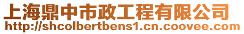 上海鼎中市政工程有限公司