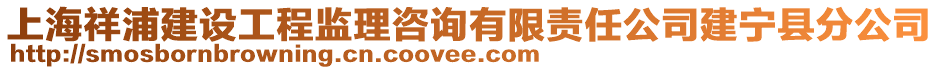 上海祥浦建設工程監理咨詢有限責任公司建寧縣分公司