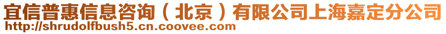 宜信普惠信息咨詢(北京)有限公司上海嘉定分公司