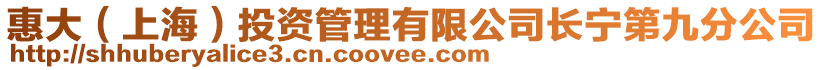 惠大（上海）投資管理有限公司長寧第九分公司